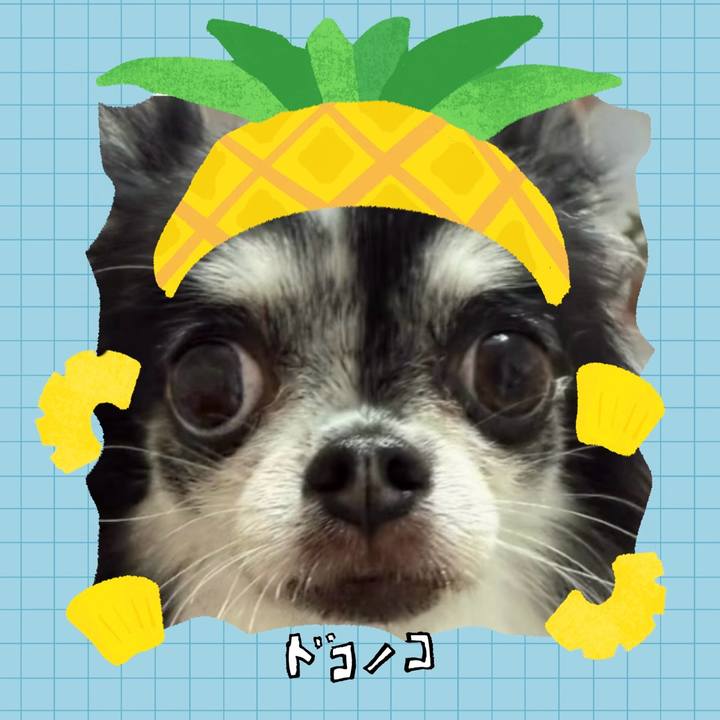 9c86d568 182d 4c98 a03f 186cde1c3676 1783328300304