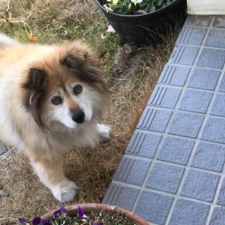 9c870939 35eb 438e 85d7 018d406055ab 1610942426240