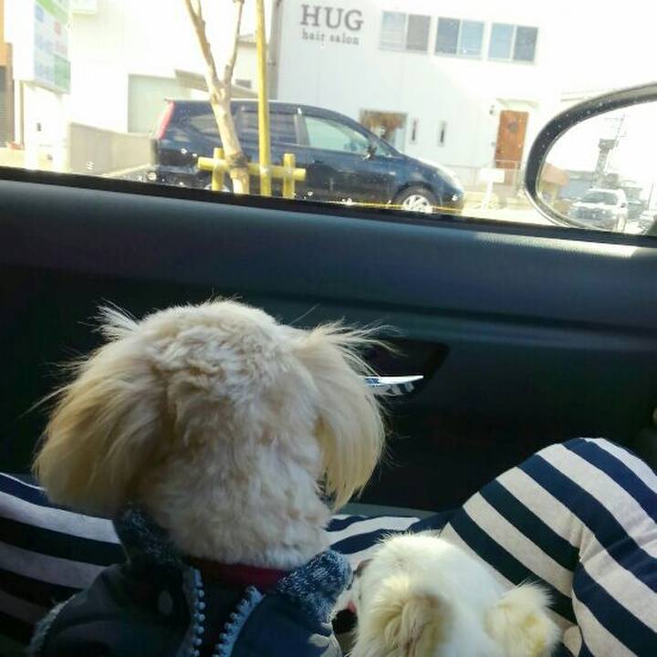 9c872d64 a914 4e4d a928 4dd26a6475ed 1548591642083