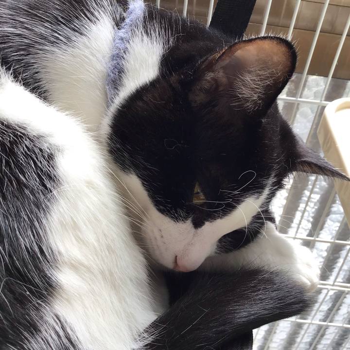 9c875720 ec7f 4caa 81b7 baa600b31610 1666871819383