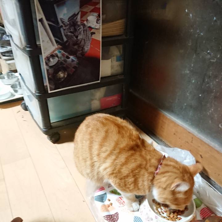 9c8770d2 9875 4101 89b9 972bf5e193bd 1603396111459