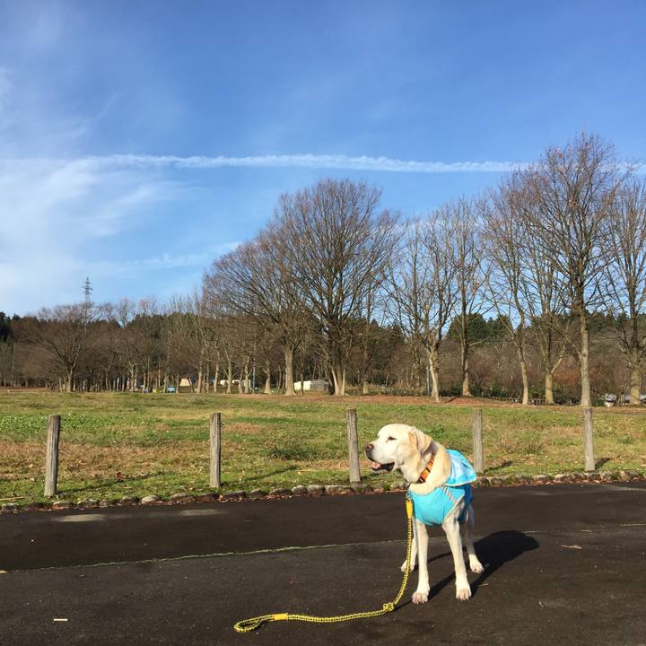 9c87711c b593 4ea9 957c 6dd457c03479 1544921464365