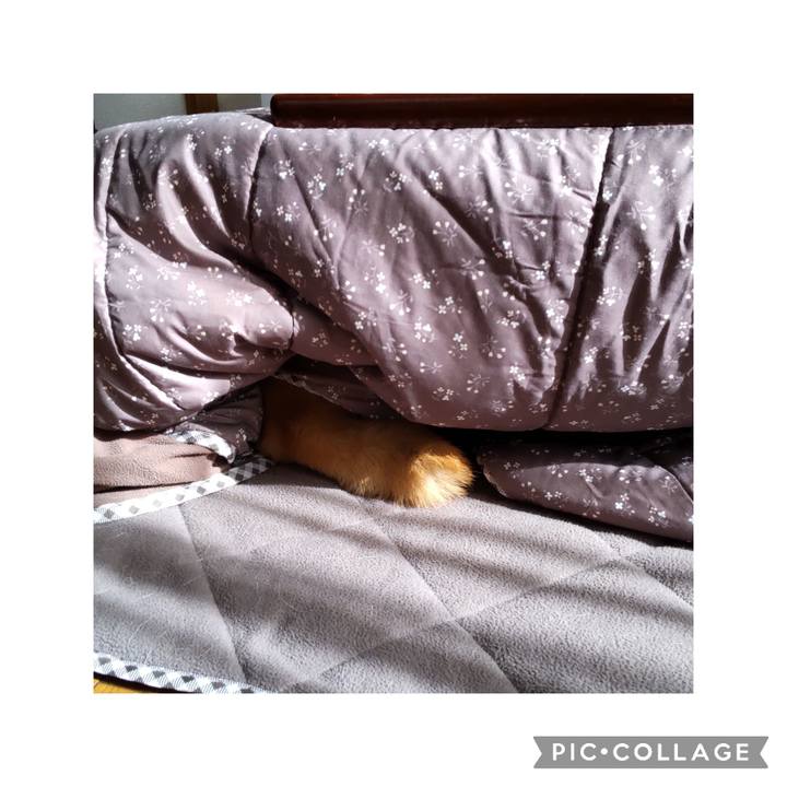 9c87ca77 f5b5 493f 981b 369dbad4abcc 1701314893343