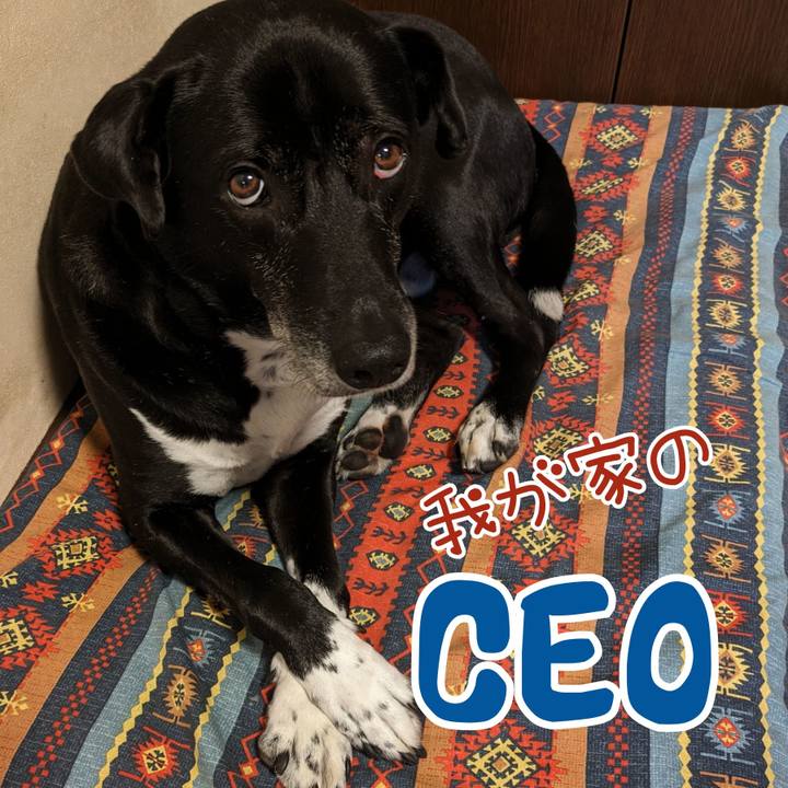 9c87e031 1d1c 4b89 9568 ed5f47e14ff7 1714215919509