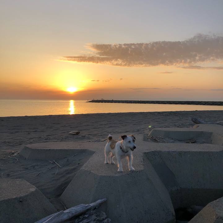 9c880c96 4461 48e4 a423 4eb1382f647d 1601627165399