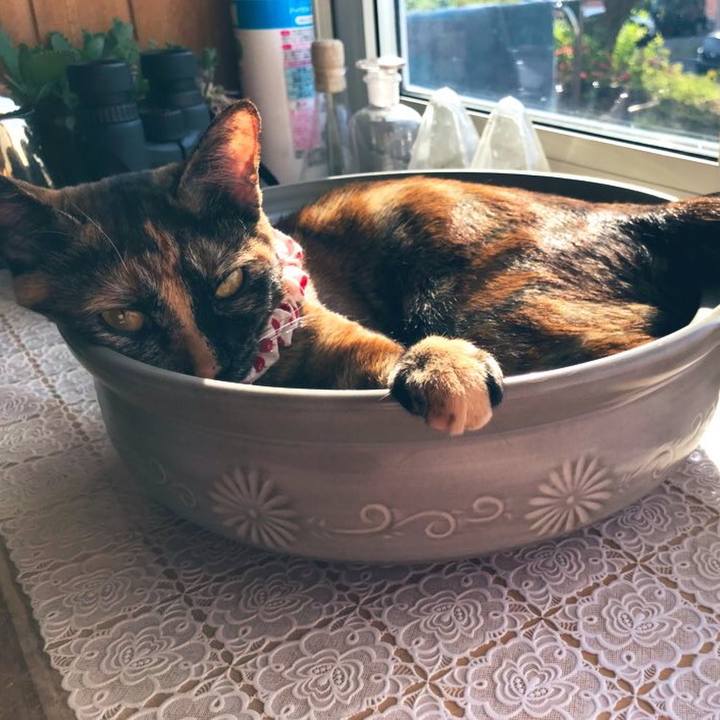 9c8818d1 e158 4103 84bf c0573eb6015e 1623362793836