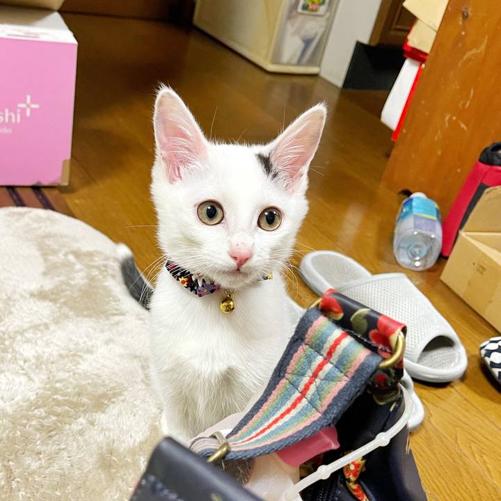 9c88234b ed89 4ba8 9dc4 08fdb260d0ac 1673303806974