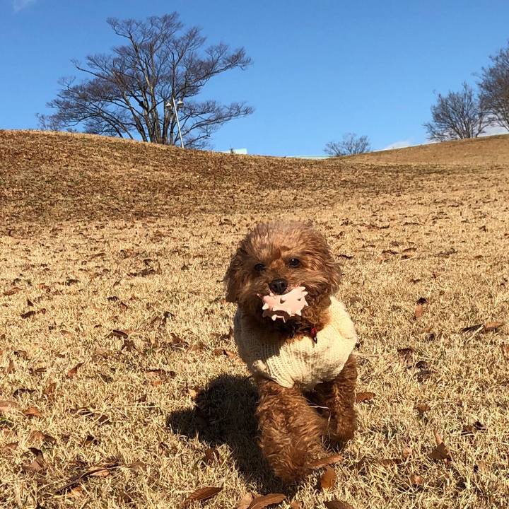 9c8835f4 3534 482f 8a20 f1ecdc3a49df 1545699579358