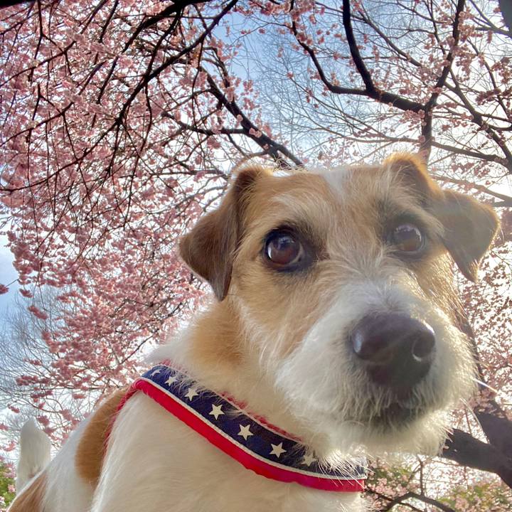 9c884886 cac7 4656 ae8b d6e50d9d2a0d 1646914715882