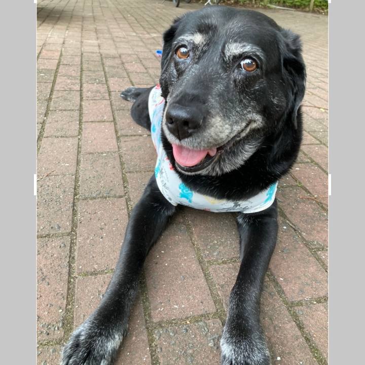 9c8860b7 c757 428b b148 fd3de77e451d 1658319144402