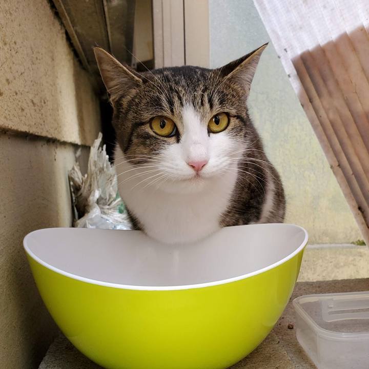 9c8872a4 decc 4c47 a53d 5702e3f1079d 1683619308512