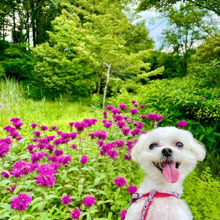 9c888fba 7c02 4933 859d 2d86ef46d6a7 1624604227470