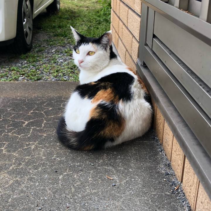 9c88c372 49d8 4440 b3bc 3ccb2b090ec0 1600163761094