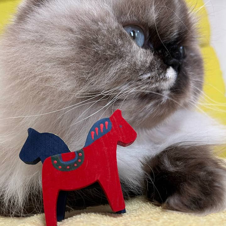 9c88fa2d 6ae7 425e 9058 d0b963bf75a3 1764072604457