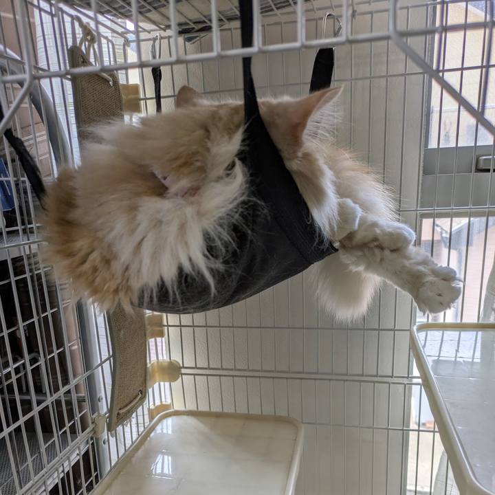 9c890379 4b77 4a6c 8dfd c897382e4696 1752027301058