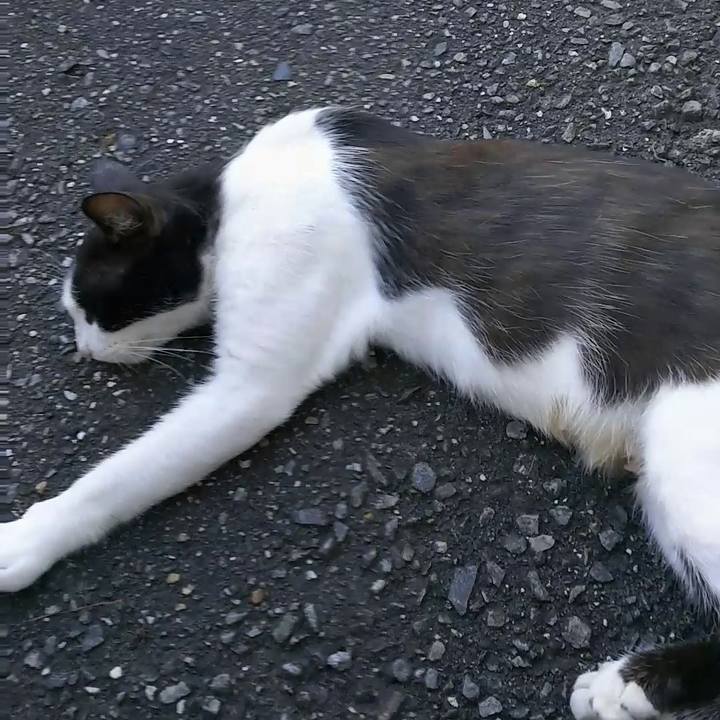 9c8930eb dc6e 4340 93ce 05cab473c861 1531646796970