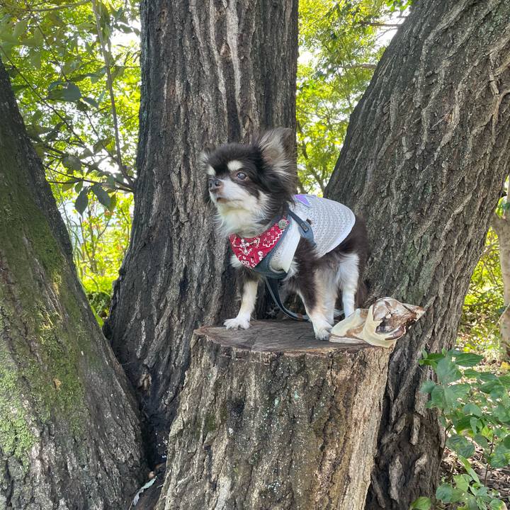 9c89831d 5bca 4352 8808 d5255d96aebd 1696648513750