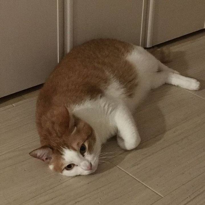 9c89a4d9 429a 47d7 b52f 1ecf3abb80df 1594091066095