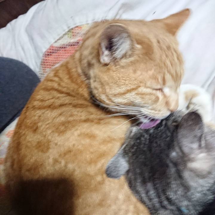 9c89ad11 5ab9 4cbe 806c 6a5546b4a0ec 1606563625293