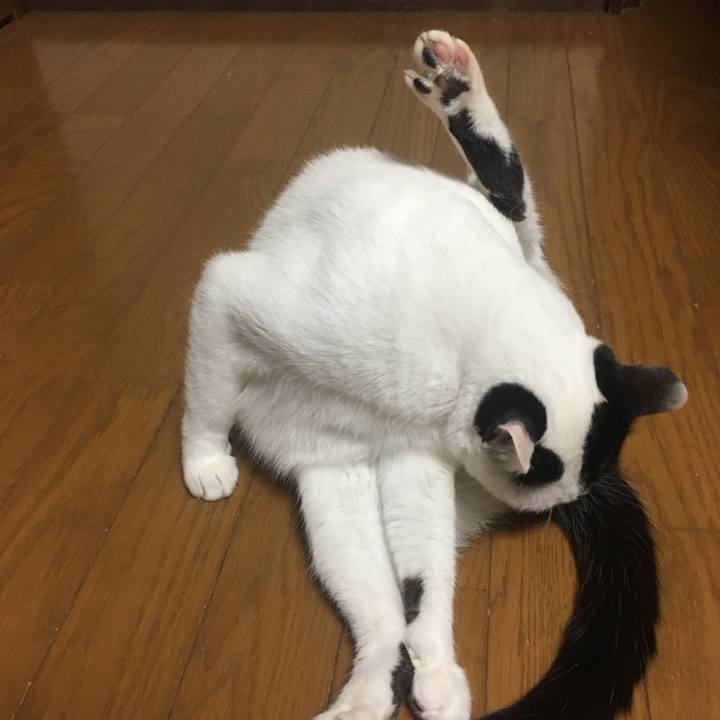 9c89af96 e8c3 4e53 b3d1 e62eb571882f 1537831627192