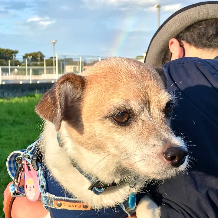 9c89c44f e540 41a0 a5aa 3692258be82d 1630830059817