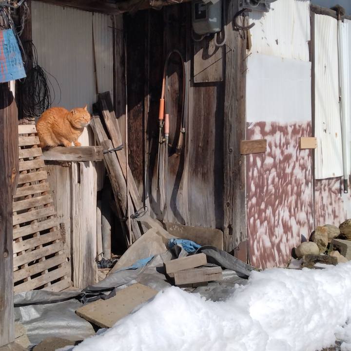 9c89cf97 7b75 4596 b3dd 9450dedd40c7 1737257816322