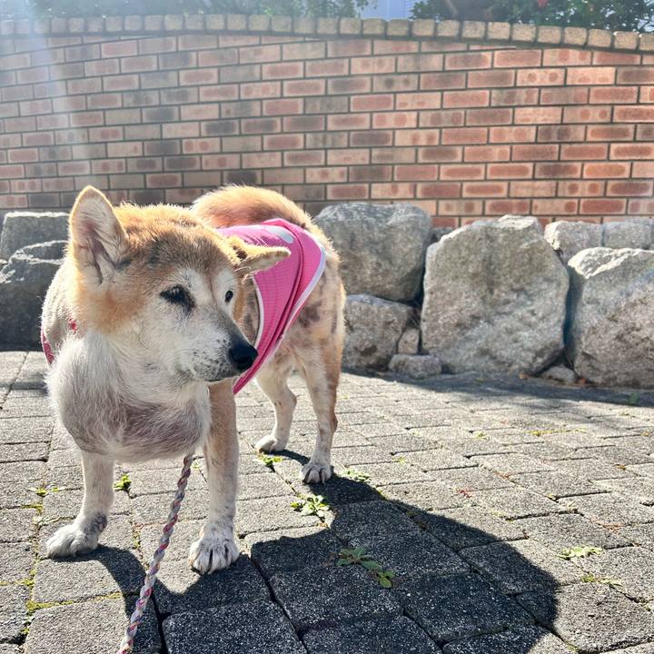 9c89dbfd b869 4982 9d54 f1d5fa969f00 1762142603552