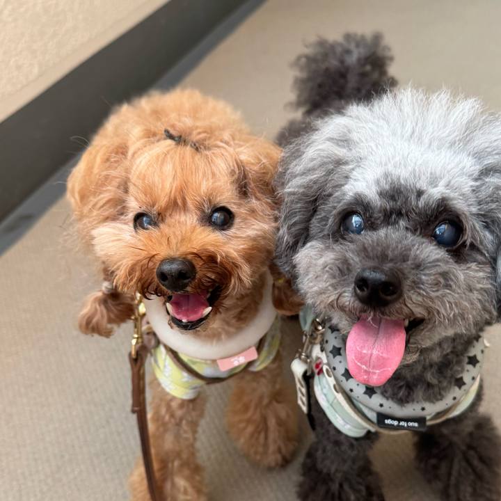 9c89ea60 ff10 47f6 abe0 ba63fdc8fea1 1756422698952