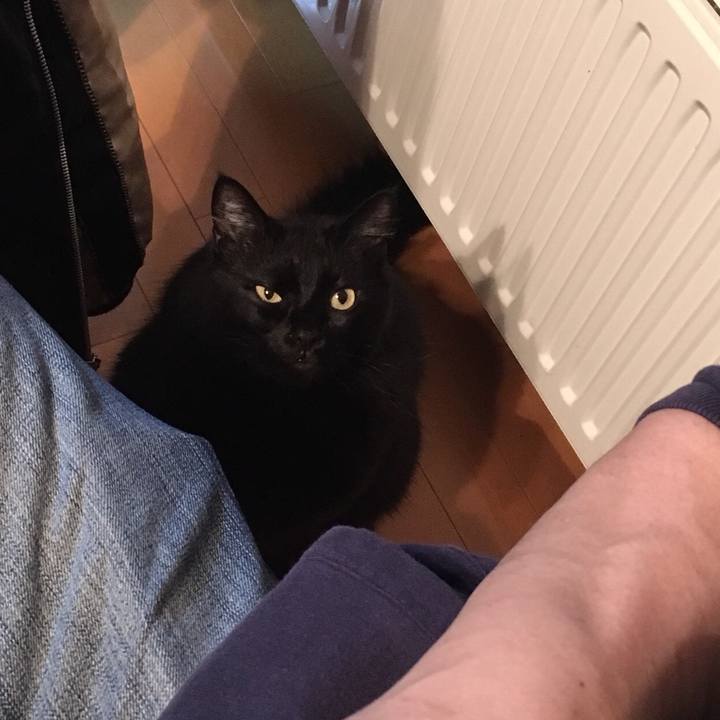 9c89ec2e e156 4d47 ae98 6bc515296aa2 1522240712927