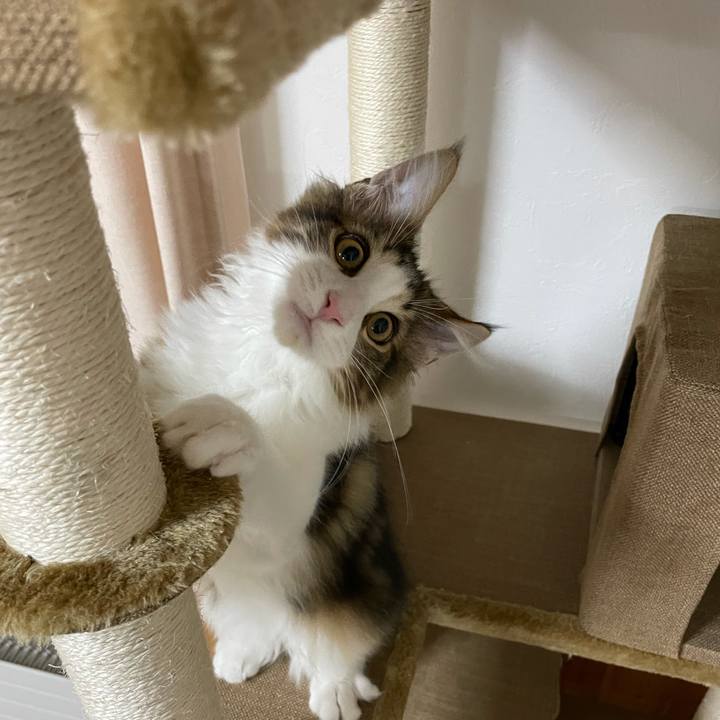 9c89ffcf 9772 4f5d 8c8f 18585a15d4e7 1635108396136