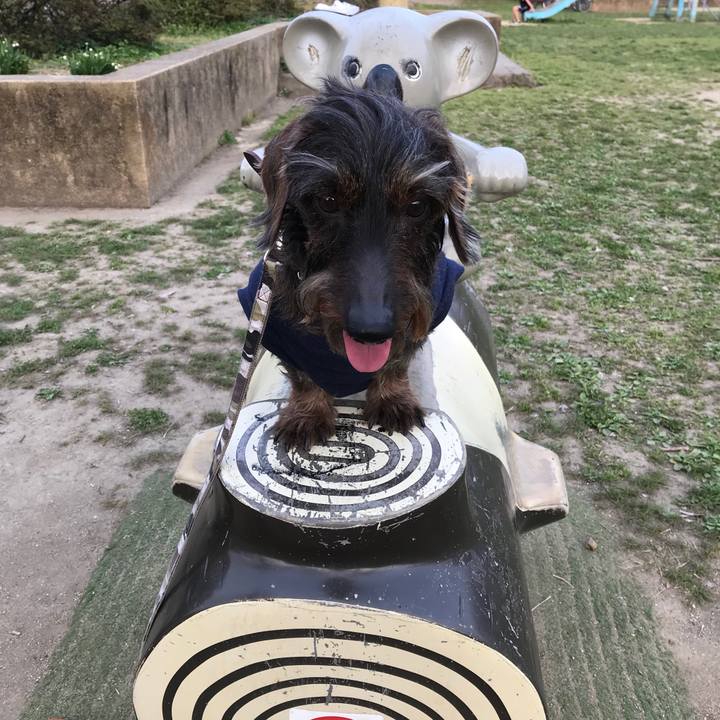 9c8a6456 92fe 4ecd ba32 893ce160ba57 1554632782204