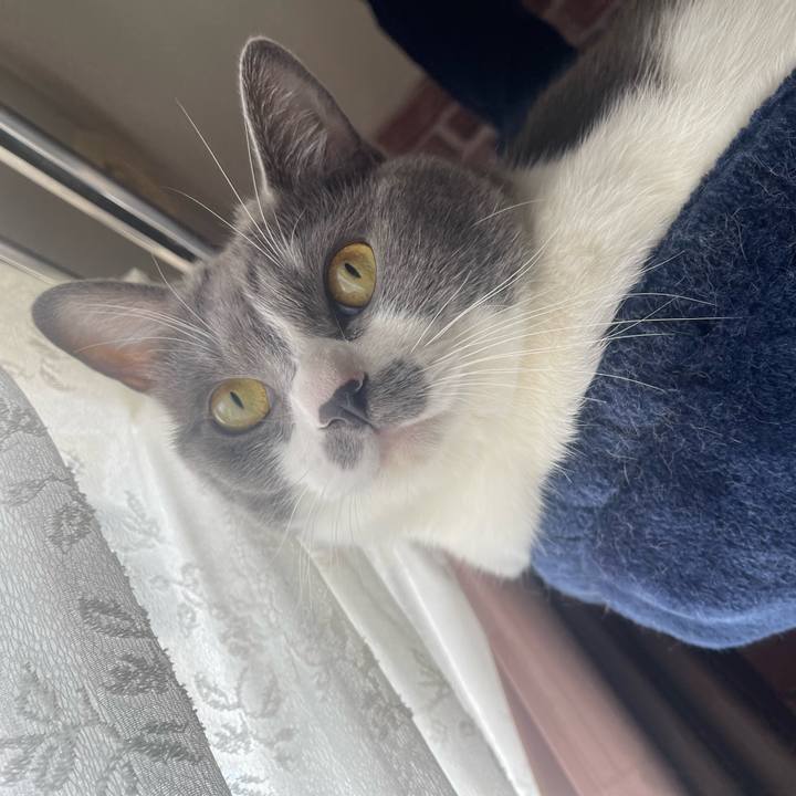 9c8a7baa e3eb 4a40 8bf2 ff1a80dd4967 1693102718768