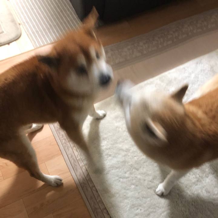 9c8a8ae8 26d2 4c4d 95f2 47cb37576745 1555567858247