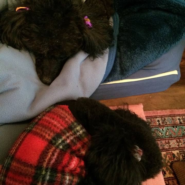 9c8a973d 10d5 4796 985b 417978c386db 1542502751765