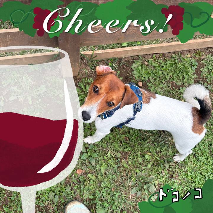 9c8a9cb3 f3a5 48e7 b669 1b08cb95b6b6 1761421979303