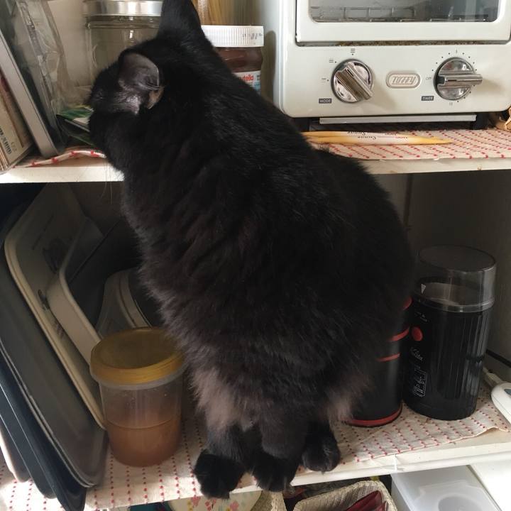 9c8ac084 29b9 45cf a56e 9eeabd08fe58 1539405399647