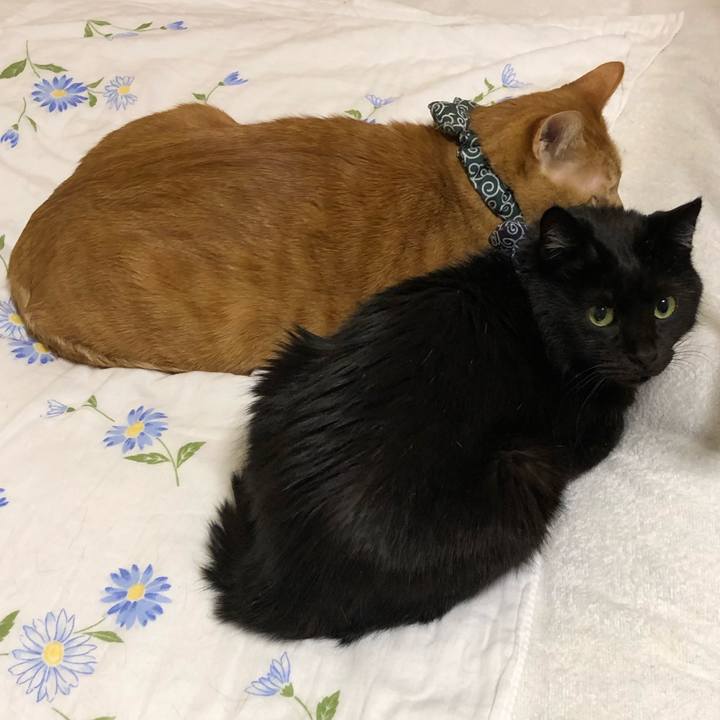 9c8ae355 b170 4fc7 9fd0 d0cfd2f35d26 1577398891190