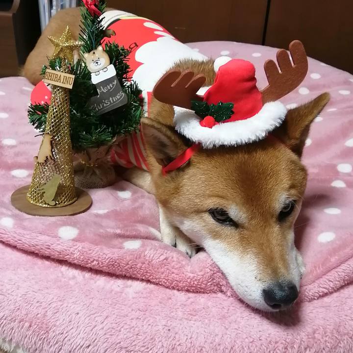 9c8aefc3 f22a 44ef bbfa 157861bab600 1608792622198