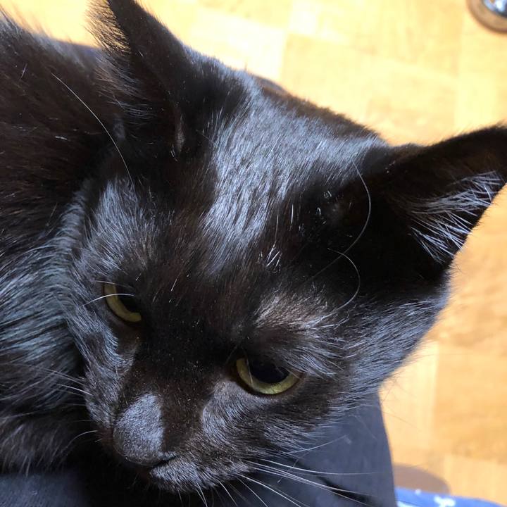 9c8b3b83 6e47 4f20 9472 73f70c4ee630 1572005619322