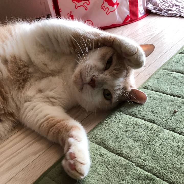 9c8b4be4 e3ae 4938 8d1c 5f1c990af1c9 1566430731839