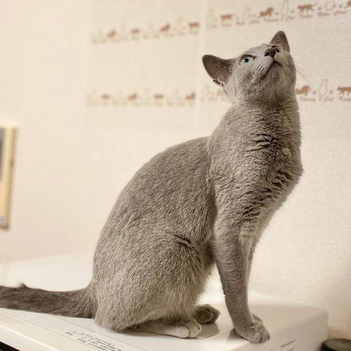 9c8b5867 d1ba 4ed6 9a64 42f94238ef44 1630468043282