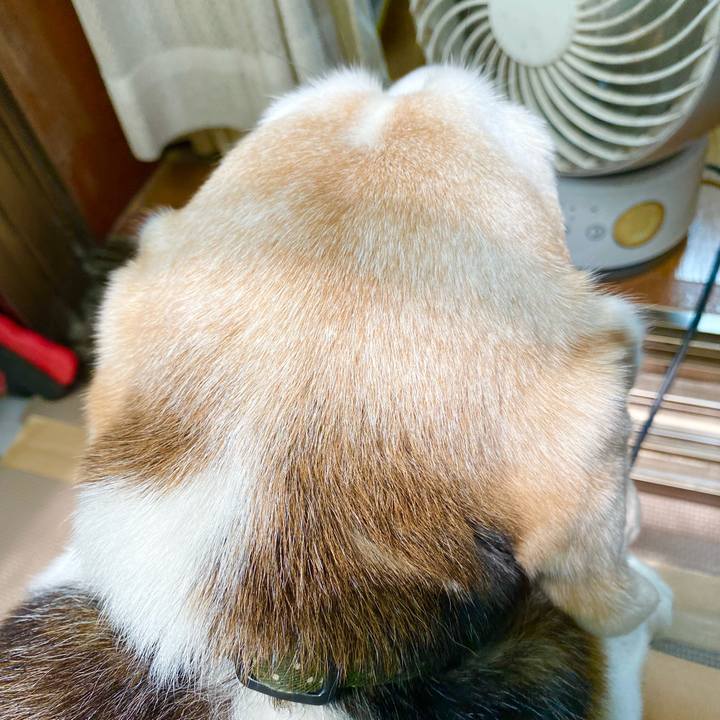 9c8b7130 4417 4831 b1c7 45d3651d1138 1659418346146