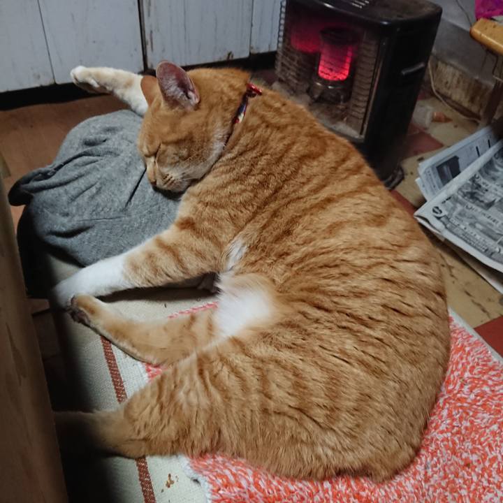 9c8bbf24 9a2a 43b6 bedc df41c3614654 1577524917608