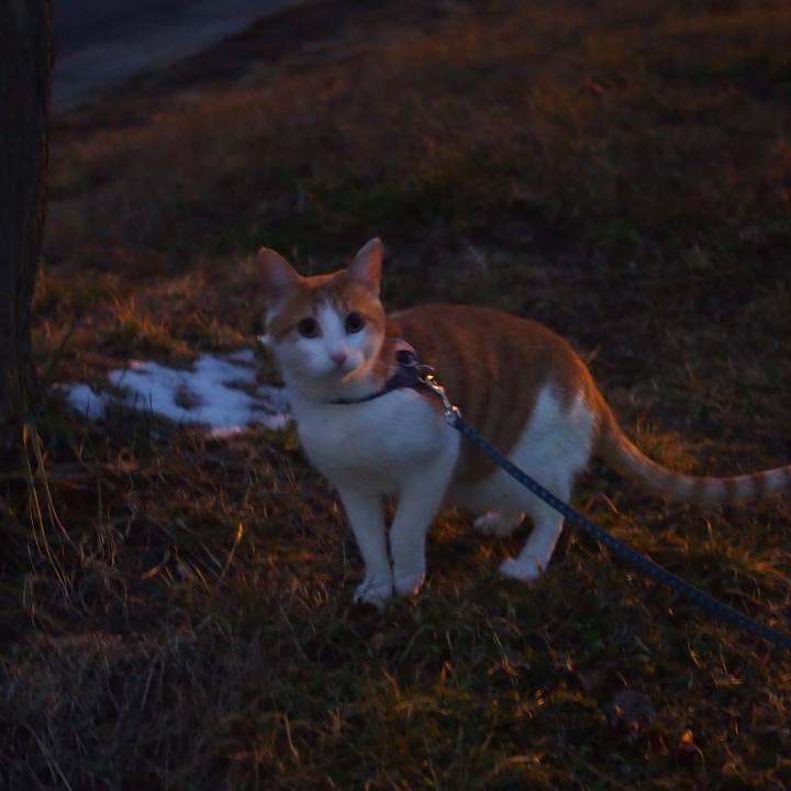 9c8bdedf e9fc 451e 9d02 d0587bb2da84 1514712082664