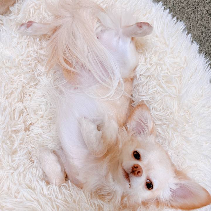 9c8bdffb 4949 4fe5 b11f 008ee77941ab 1675943594078