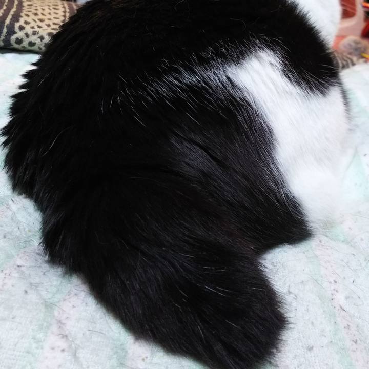 9c8be700 d778 4fd5 8cf6 ebf28494aa75 1558907401010