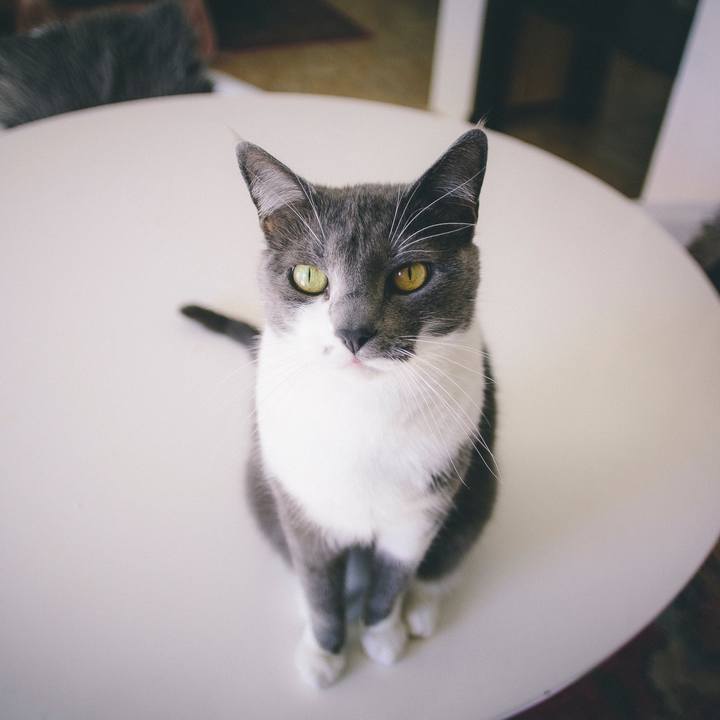 9c8bec22 f089 4db8 bed1 f055c00904cf 1623040201386