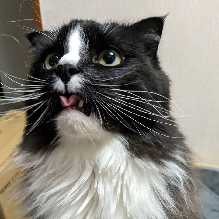 9c8c1944 0cb9 42b9 a60a 080400d88ccb 1679485744766