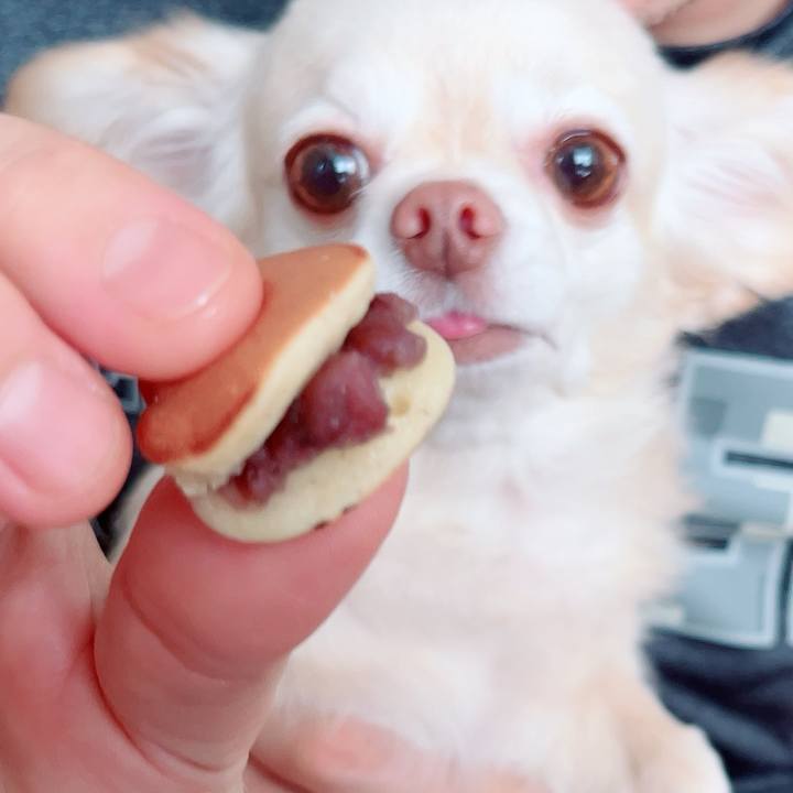 9c8c26fd 346f 4271 82dc b92c1911fd81 1760349947030