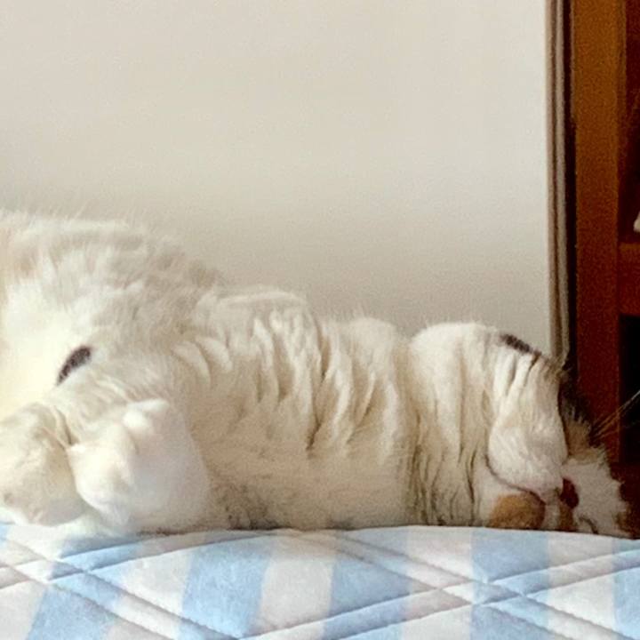 9c8c3d4a 8efb 4ace 9d54 6c5da74fae5c 1565770101265